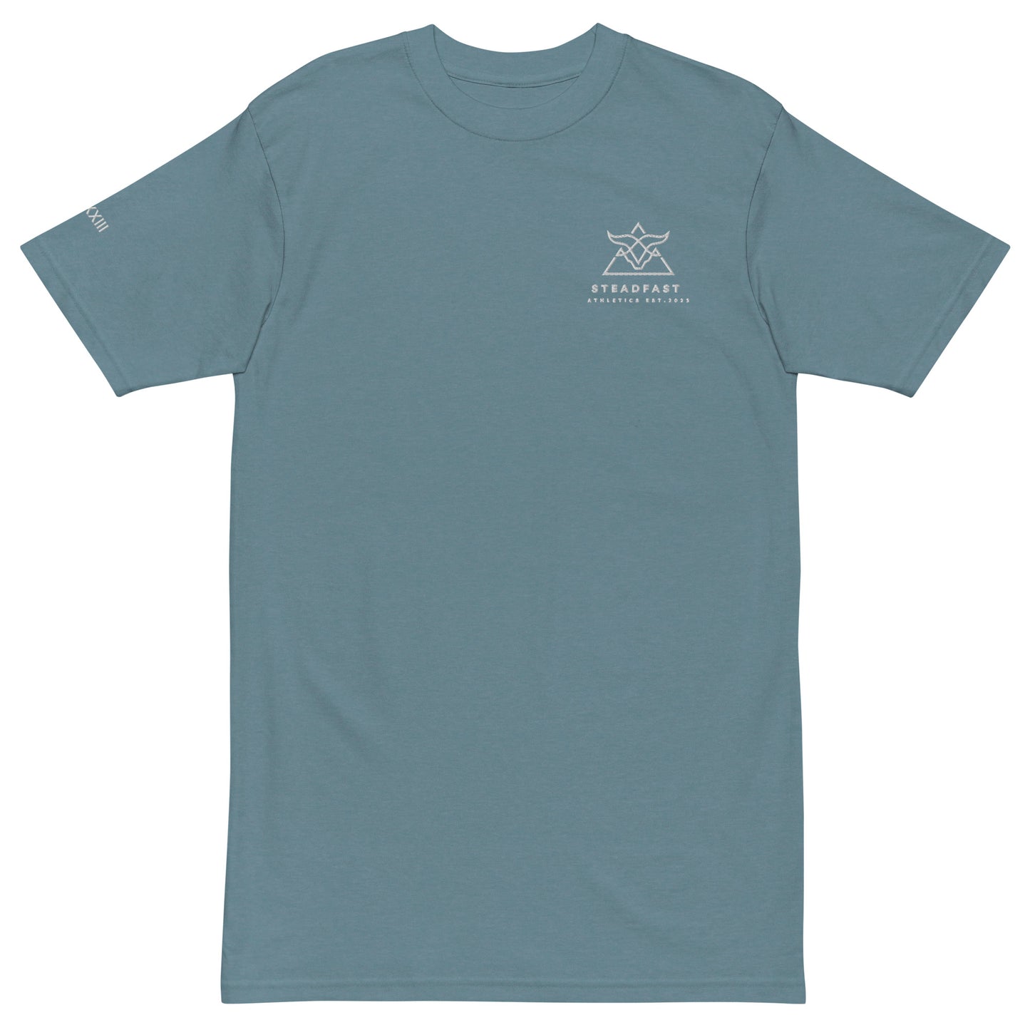 Anti-Fragile tee