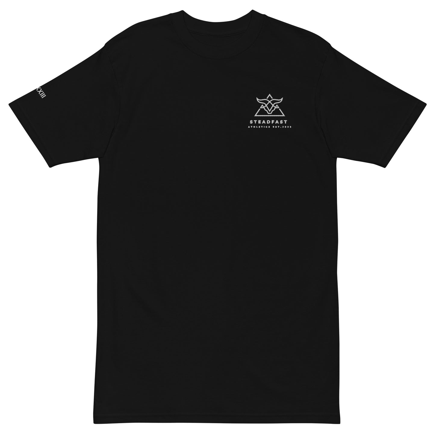 Anti-Fragile tee