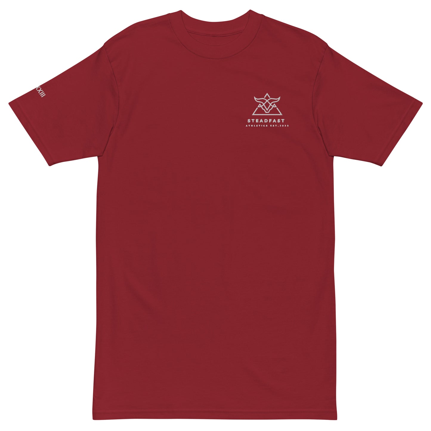 Anti-Fragile tee